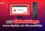 แจ้งเตือนมัลแวร์ Gh0stCringe เป็นภัยต่อ MySQL
