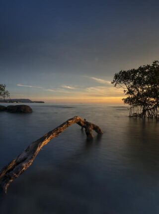 ตายแล้วไปไหน ไขปริศนาชีวิต